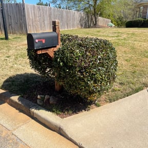 Bush Trimming by Erick's Lawn Maintenance reviewed on March 15, 2023