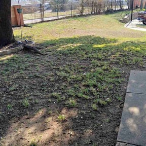 Leaf Removal by AJ’s Landscaping reviewed on August 22, 2026