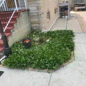 Flower Bed Weeding by S&amp;T lawn care reviewed on May 25, 2026