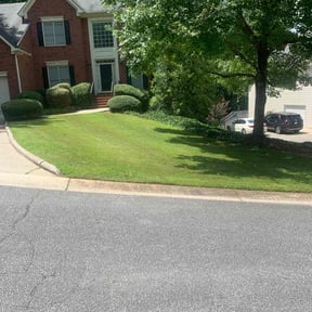 Bush Trimming by T &J lawn care reviewed on August 20, 2025