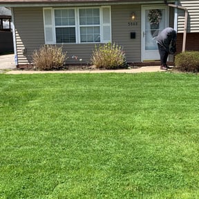 Bush Trimming by Triple S Cuts &amp; Cleanouts reviewed on September 20, 2023