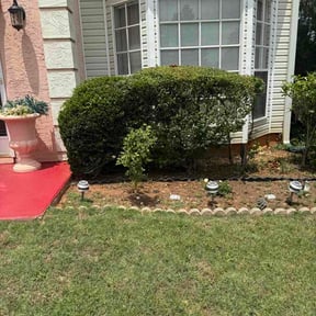 Bush Trimming by B&amp;t lawn service reviewed on May 28, 2026