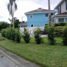 lawn service by The Other Side Lawn Care reviewed on May 3, 2024