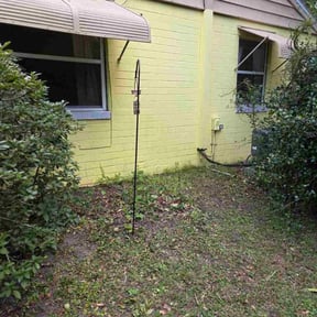 Bush Trimming by Spinelli Scenery Solutions LLC. reviewed on November 24, 2025