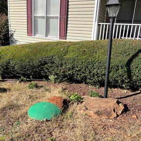 Bush Trimming by C L O V E R reviewed on November 18, 2025