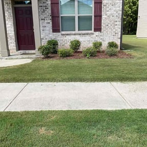 Bush Trimming by Crossroads reviewed on August 20, 2025