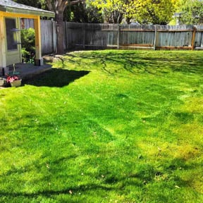 yard service by Vision Pool Services and Landscaping reviewed on November 24, 2025