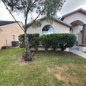 Bush Trimming by BB United reviewed on December 4, 2025