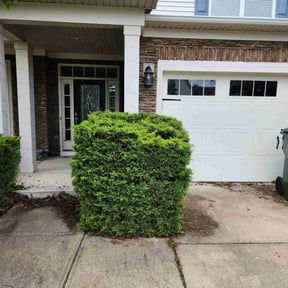 Bush Trimming by One Tuff Mama Roofing and Landscaping reviewed on August 18, 2025