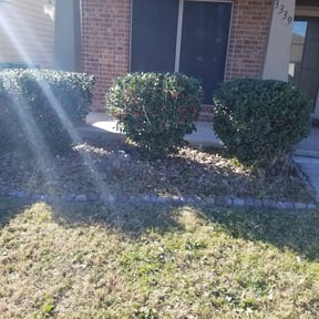 Bush Trimming by Toms Yard Care reviewed on August 19, 2025