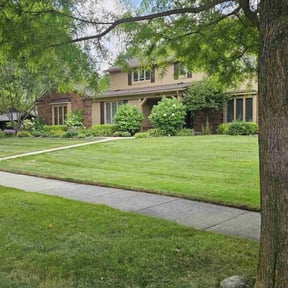 yard service by Dxd lawn care reviewed on August 21, 2025