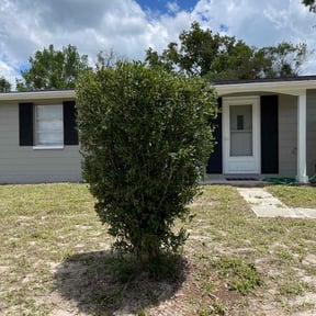 Bush Trimming by This &amp; That reviewed on January 1, 2026