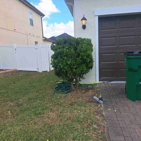 Bush Trimming by Coastal Lawnworx LLC reviewed on December 2, 2025