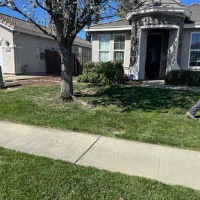 Bush Trimming by Kelly Boys Lawn Care reviewed on March 5, 2026