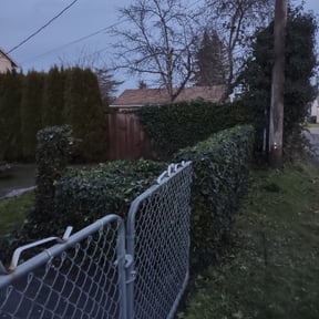 Bush Trimming by Jam Solution reviewed on November 4, 2025