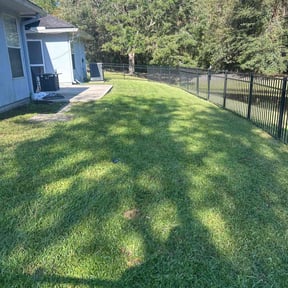 yard service by San Antonio Lawn Mowing reviewed on August 19, 2025