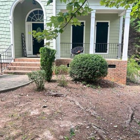 Bush Trimming by Torre Lawn Care, TLC reviewed on November 23, 2025