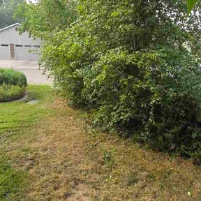Bush Trimming by Ghost Mowing LLC reviewed on August 15, 2026