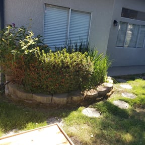 Bush Trimming by Woodside Lawn Care and Landscaping reviewed on August 20, 2025