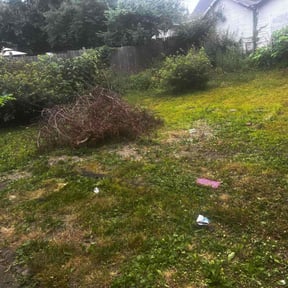 Bush Trimming by Just-in-time landscaping LLC reviewed on November 22, 2025