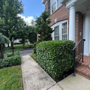 Bush Trimming by Cobbs Construction, LLC reviewed on August 17, 2025