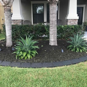 Bush Trimming by Junk by Day Gone by Night reviewed on October 20, 2025