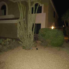 Bush Trimming by Soto master reviewed on October 18, 2025