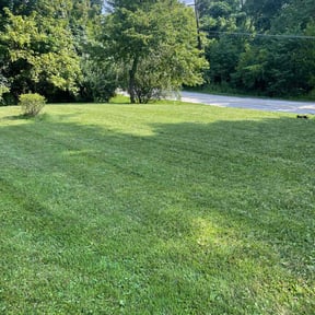 landscape maintenance by OC Lawn Care Services reviewed on December 13, 2025