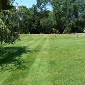 turf maintenance by Brewer’s Lawn care reviewed on June 19, 2025