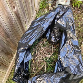 Flower Bed Weeding by Shawns Property services reviewed on May 23, 2026