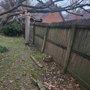 Leaf Removal by KLG LAWN Service reviewed on October 19, 2025