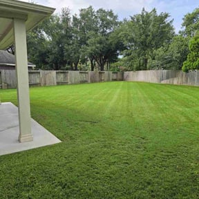 yard care by Texas lawnscapes reviewed on August 18, 2025