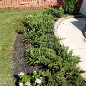 Flower Bed Weeding by Jays Tree and Lawn reviewed on November 19, 2025