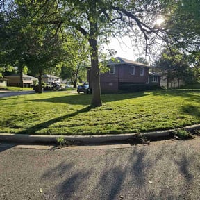 yard care by Proper Lawn Care LLC reviewed on November 22, 2025