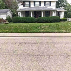 Bush Trimming by Lindseys lawn care LLC reviewed on July 2, 2026