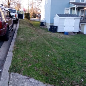 Leaf Removal by Orange Maintenance reviewed on August 15, 2025