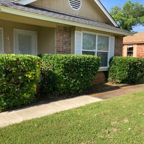 Bush Trimming by Griggs professional service reviewed on August 18, 2025