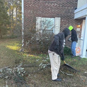 Bush Trimming by Discount Mowing reviewed on December 2, 2025