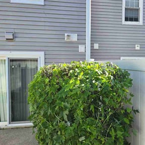 Bush Trimming by Roldan Lawn Services LLC reviewed on June 3, 2026