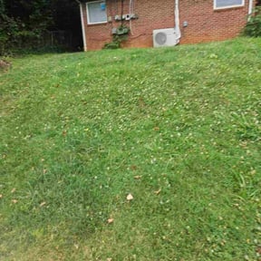 Leaf Removal by Bryson Landscaping, LLC reviewed on August 3, 2026