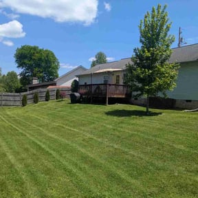 yard care by Geezs Lawn Care reviewed on August 16, 2025