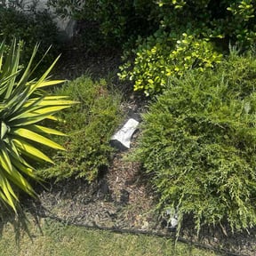 Flower Bed Weeding by H &amp; S Lawn Service. reviewed on November 10, 2025