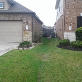 Bush Trimming by Marsha's Lawn Care & Snow Removal Services reviewed on August 16, 2025