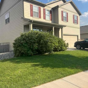 Bush Trimming by Js lawncare and more llc reviewed on December 10, 2025