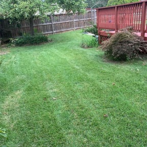 landscaping services by A&amp;E landscaping reviewed on May 11, 2024