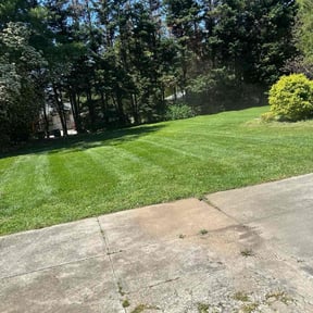 residential landscaping by Home Medic reviewed on July 5, 2025