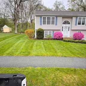 lawn maintenance by Harry&#039;s landscape reviewed on August 16, 2025