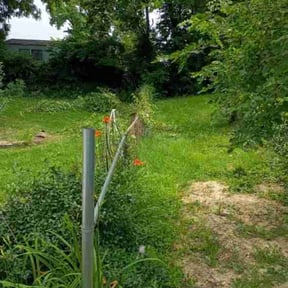 Bush Trimming by Turf Ticklers LLC reviewed on May 30, 2026