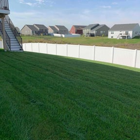 yard care by Mow and more reviewed on November 24, 2025