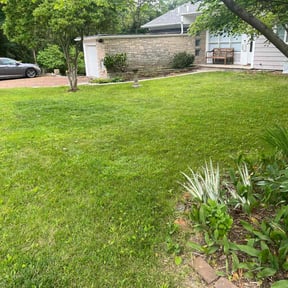 yard maintenance by D&A Landscaping reviewed on August 20, 2025